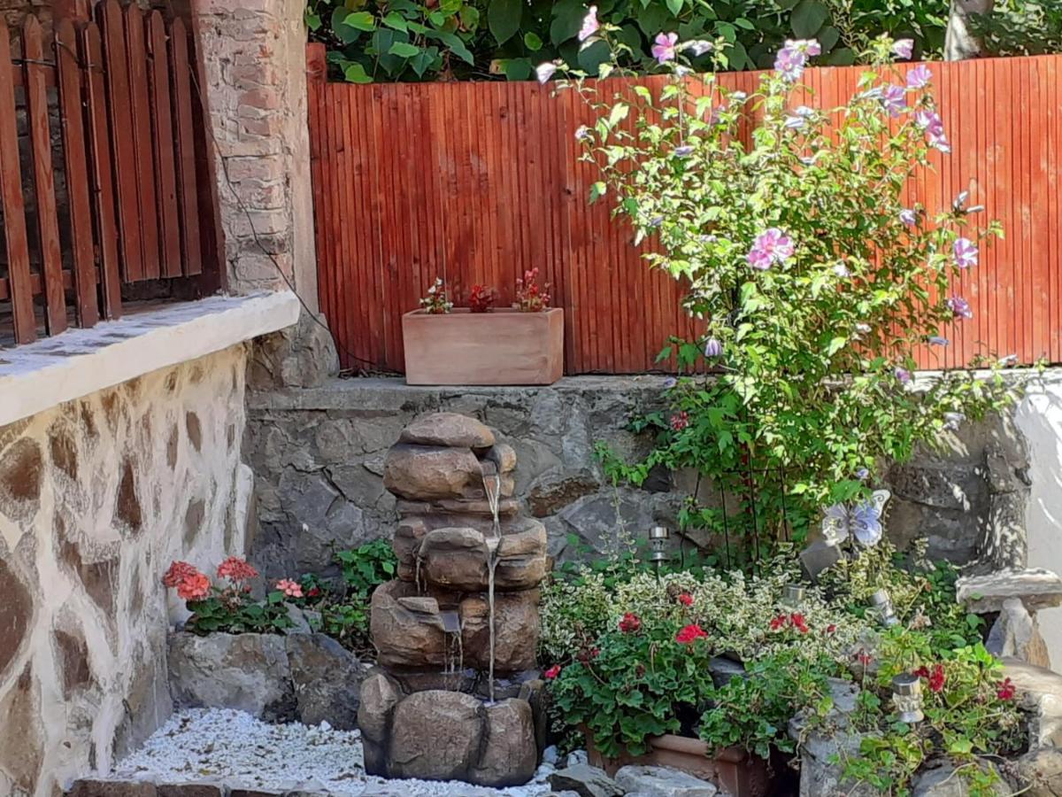Gloria Apartments Σιγκισοάρα Εξωτερικό φωτογραφία
